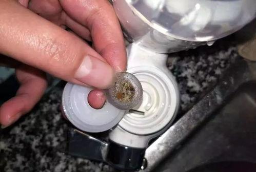 虫子最新爆料,揭秘娱乐圈惊天大事件! 第3张 虫子最新爆料,揭秘娱乐圈惊天大事件! 第3张