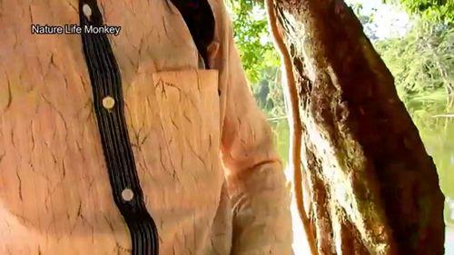 可爱的罗拉在线观看,在线观看的甜蜜冒险之旅