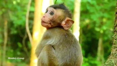 可爱的罗拉在线观看,在线观看的甜蜜冒险之旅 第2张 可爱的罗拉在线观看,在线观看的甜蜜冒险之旅 第2张